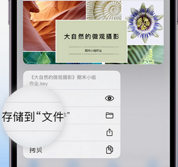 正镶白apple维修中心分享iPhone文件应用中存储和找到下载文件