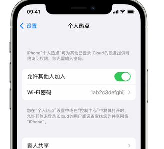 正镶白apple服务站点分享iPhone上个人热点丢失了怎么办 