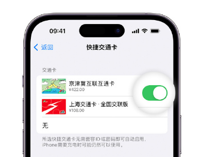 正镶白apple维修点分享iPhone上更换Apple Pay快捷交通卡手绘卡面 