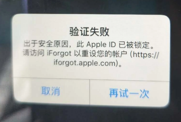 正镶白iPhone维修分享iPhone上正常登录或使用AppleID怎么办 