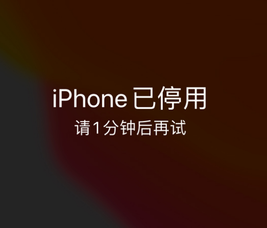 正镶白苹果手机维修分享:iPhone 显示“不可用”或“已停用”怎么办？还能保留数据吗？ 