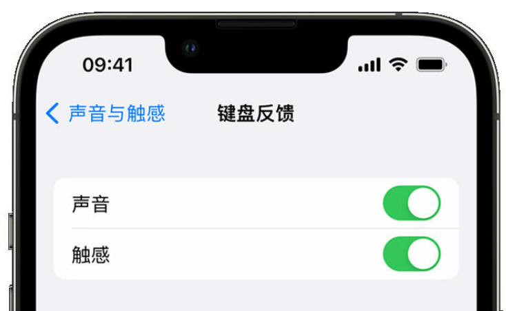 正镶白苹果手机维修分享iPhone 14触感键盘使用方法 