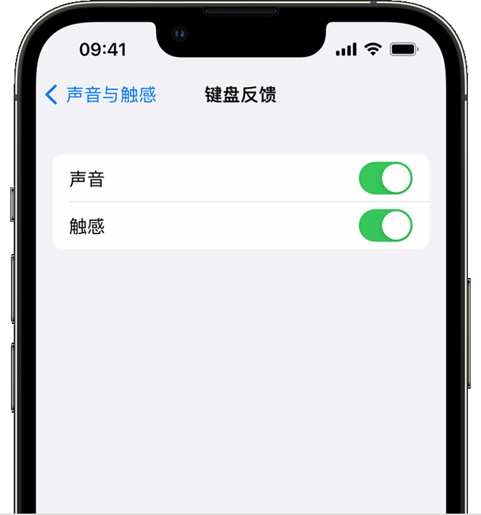 正镶白苹果14维修店分享如何在 iPhone 14 机型中使用触感键盘 