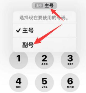 正镶白苹果14维修店分享iPhone 14 Pro Max使用副卡打电话的方法 