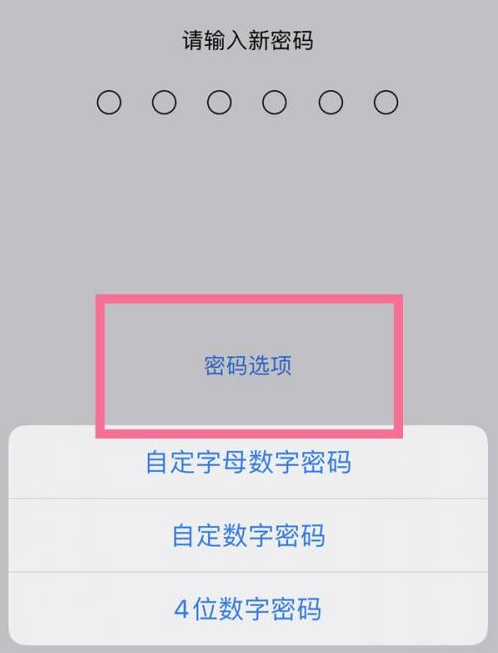 正镶白苹果14维修分享iPhone 14plus设置密码的方法 