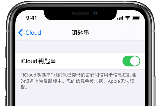 正镶白苹果手机维修分享在 iPhone 上开启 iCloud 钥匙串之后会储存哪些信息 