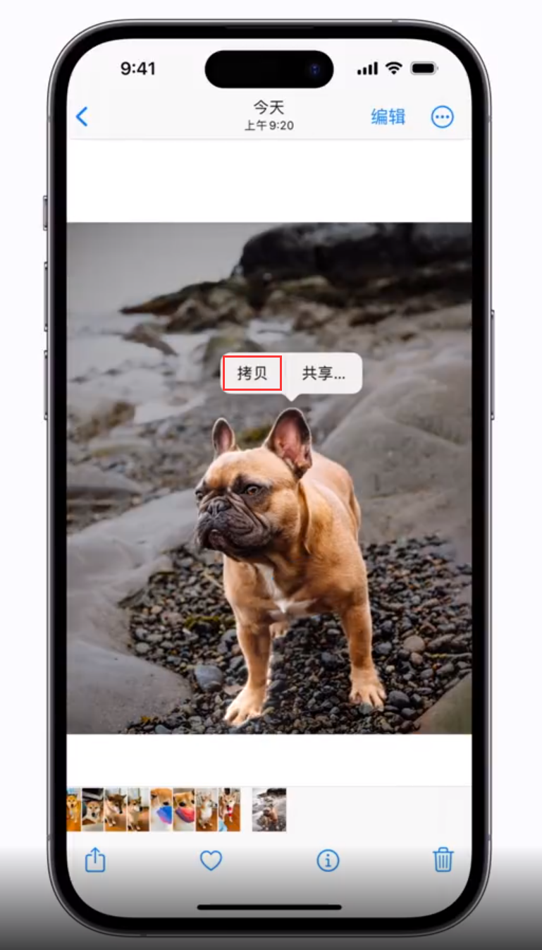 正镶白苹果手机维修分享 iOS 16 自带一键抠图功能 