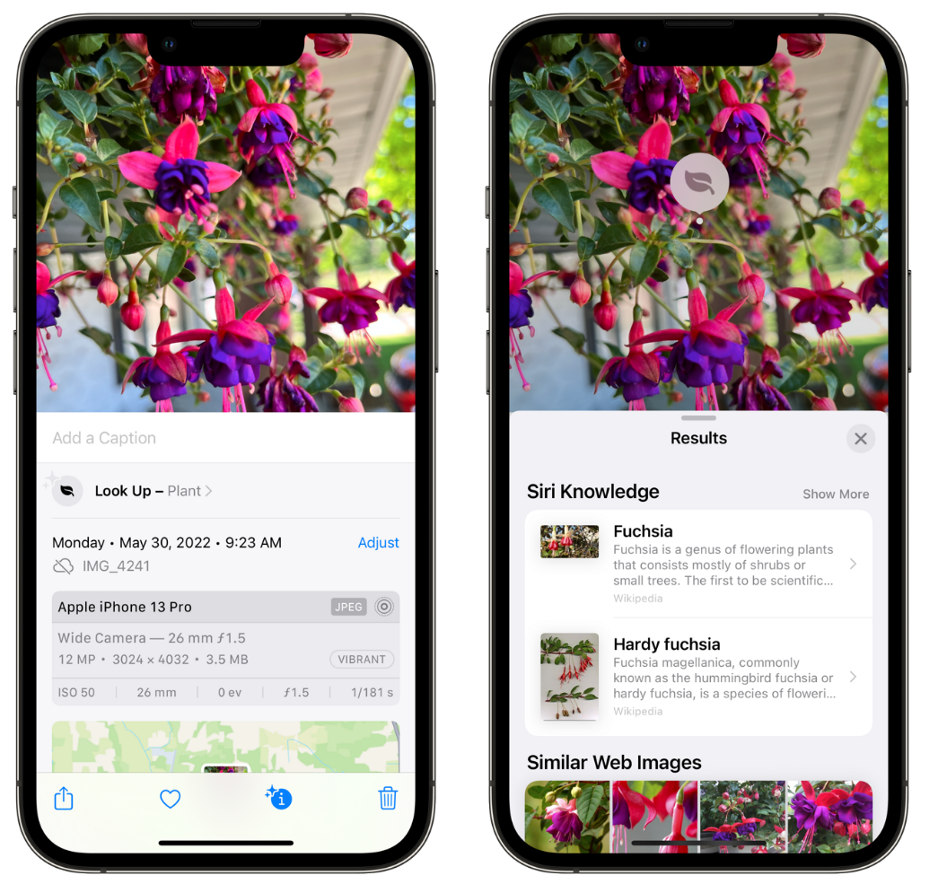 正镶白苹果手机维修分享小技巧：使用 iPhone 相机识别花卉植物 