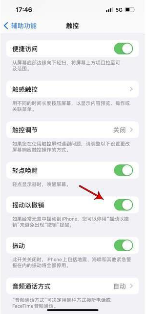 正镶白苹果手机维修分享iPhone手机如何设置摇一摇删除文字 